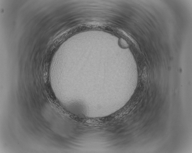 X0000085761015200704131732