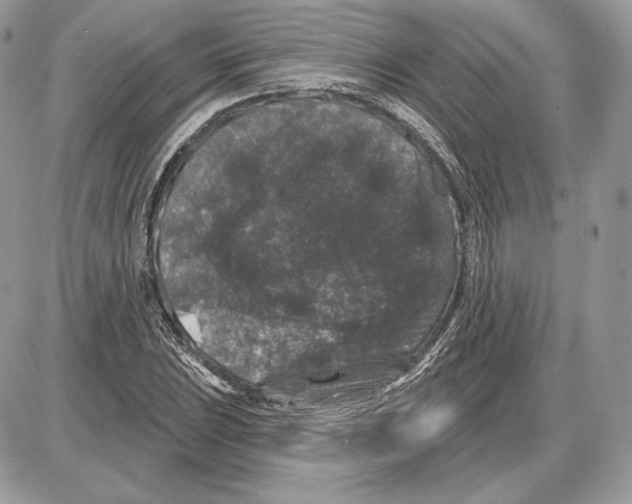X0000085761023200704131732