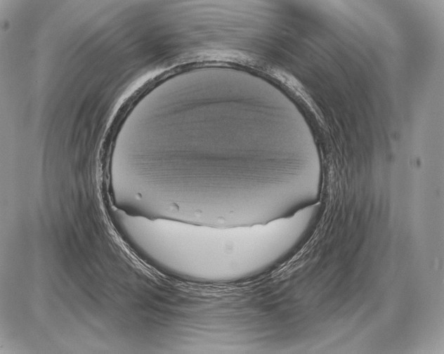 X0000085761024200704131732