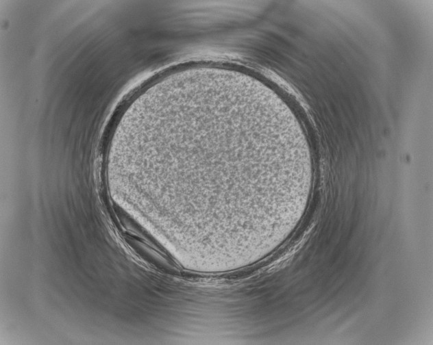 X0000085761029200704131732