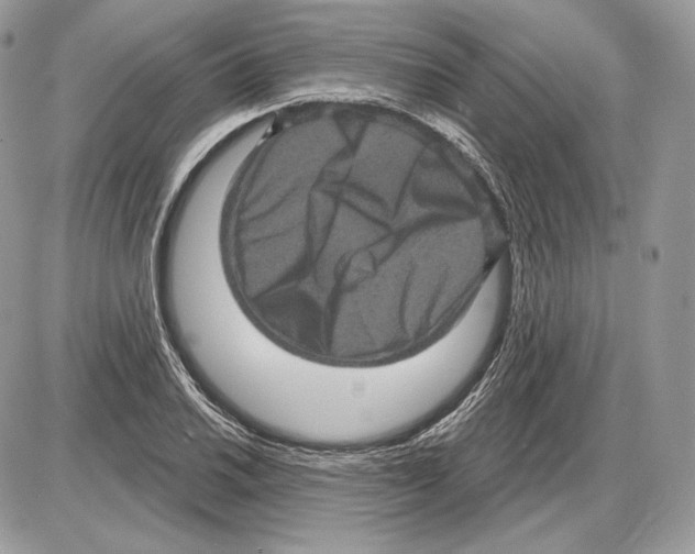 X0000085761030200704131732