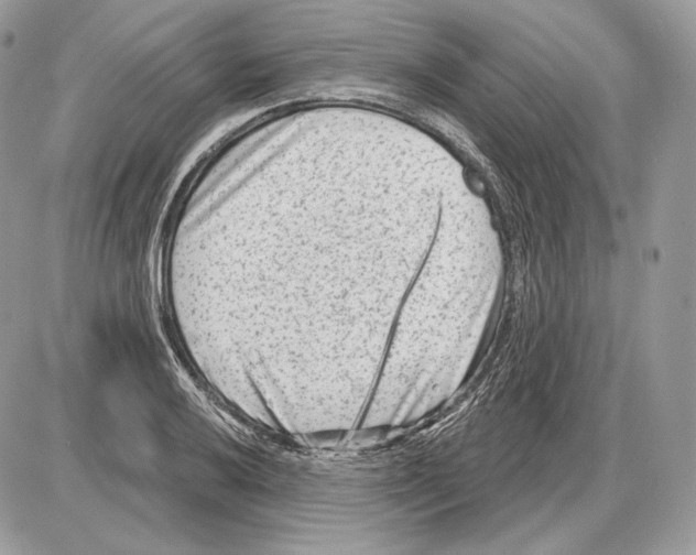 X0000085761032200704131732