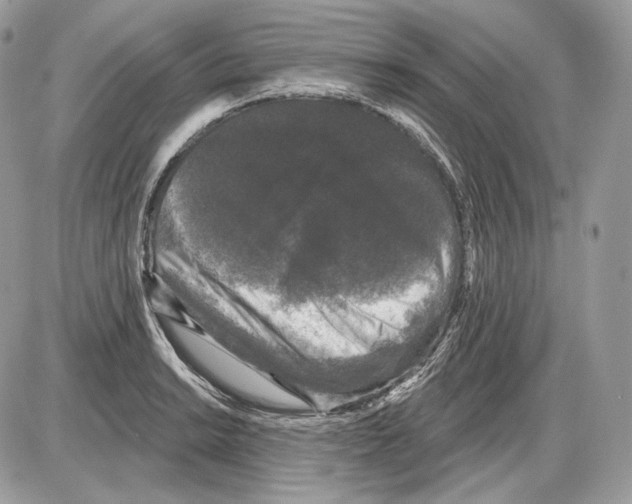 X0000085761038200704131733