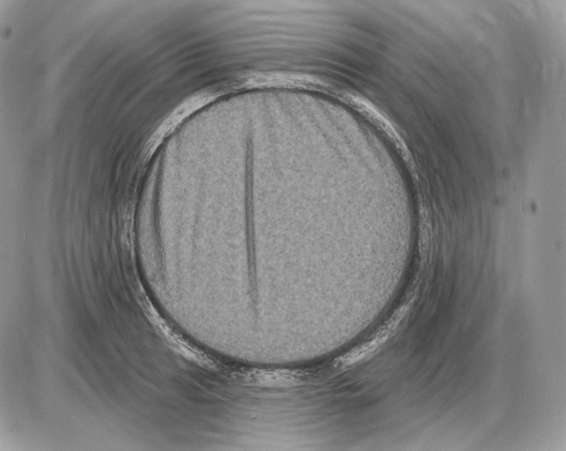 X0000085761041200704131733