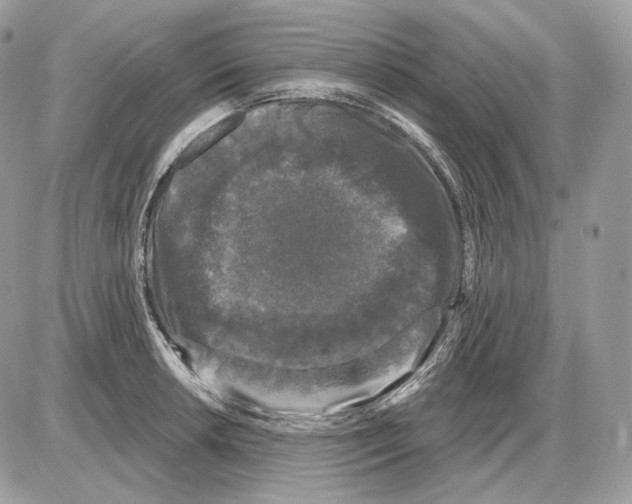 X0000085761042200704131733