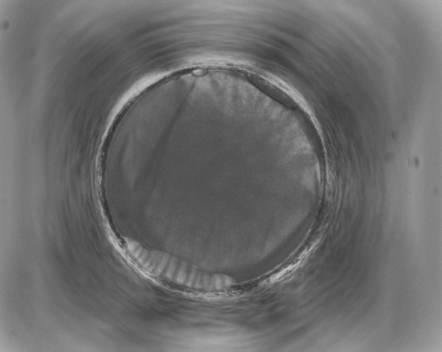 X0000085761045200704131733