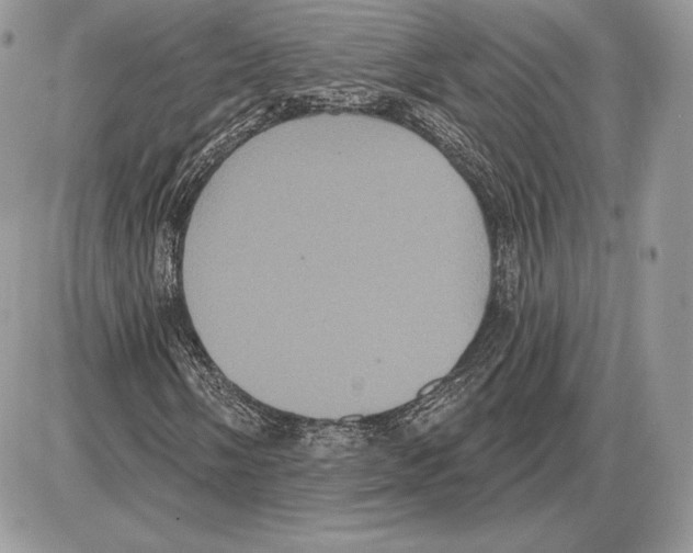 X0000085761058200704131732