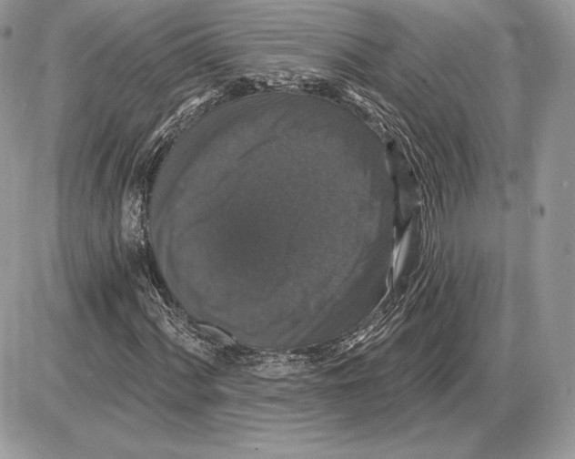 X0000085761060200704131732