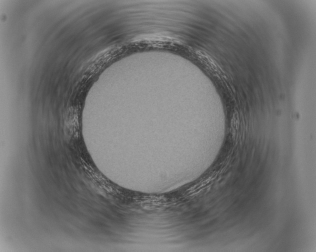 X0000085761062200704131732