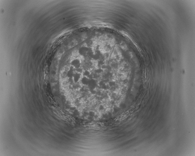 X0000085761063200704131732