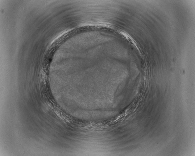 X0000085761064200704131732