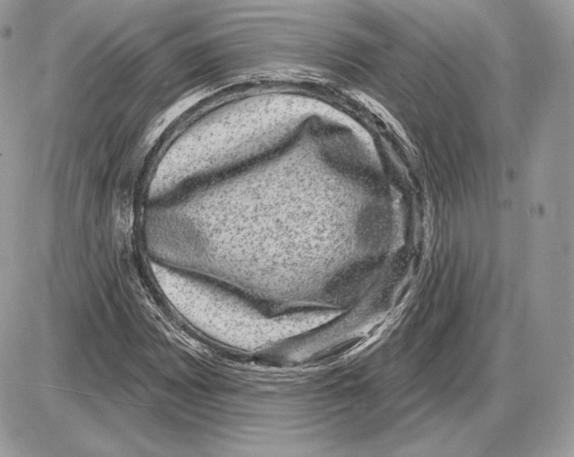 X0000085761065200704131732