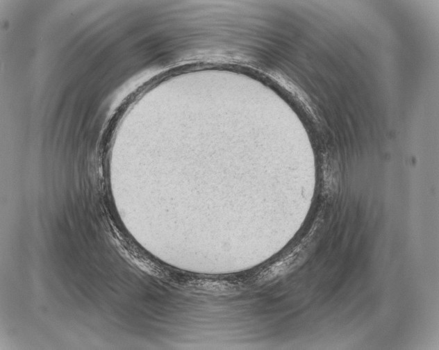 X0000085761070200704131732