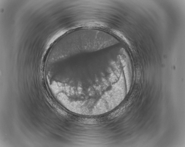 X0000085761071200704131732