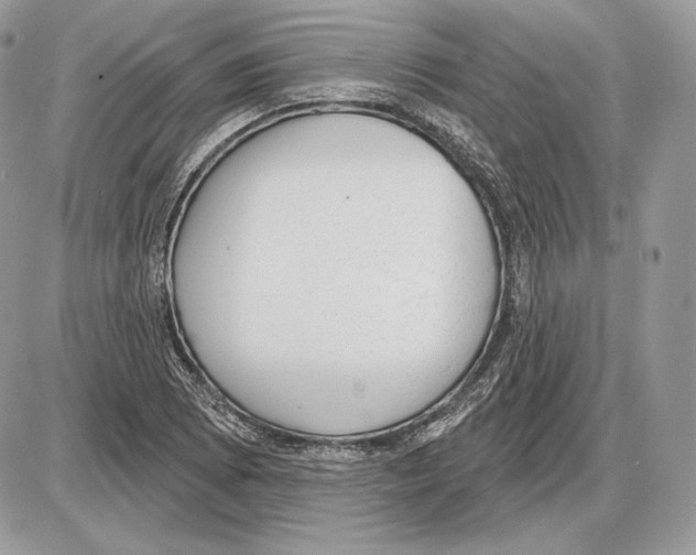 X0000085761073200704131732