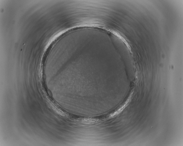 X0000085761077200704131732