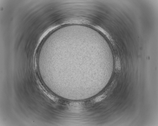 X0000085761078200704131732