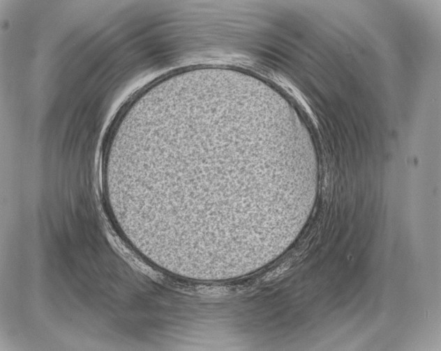 X0000085761080200704131732