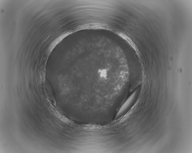 X0000085761081200704131732