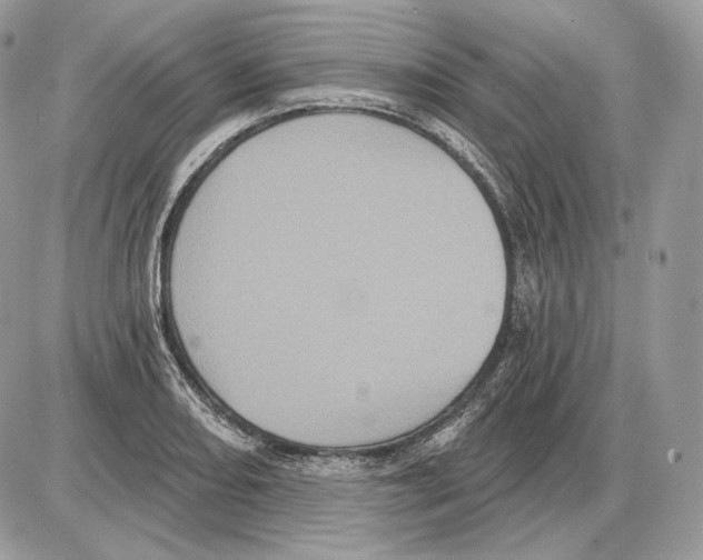 X0000085761082200704131732