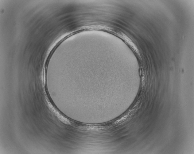 X0000085761084200704131732