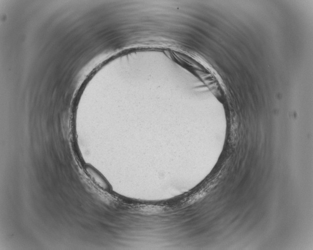 X0000085761085200704131732