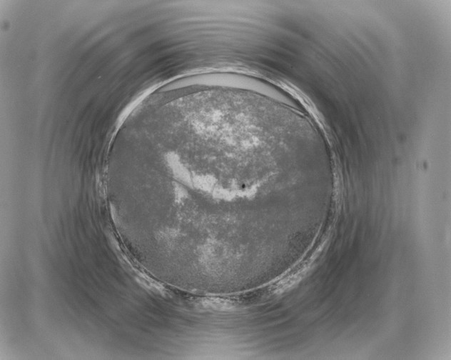 X0000085761097200704131731