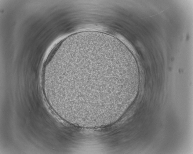 X0000085761104200704131731