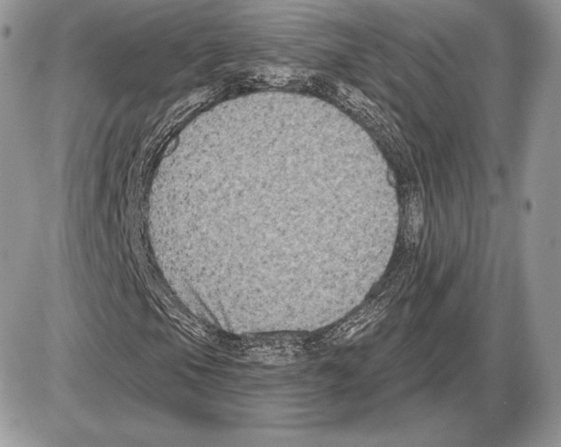 X0000085761105200704131730