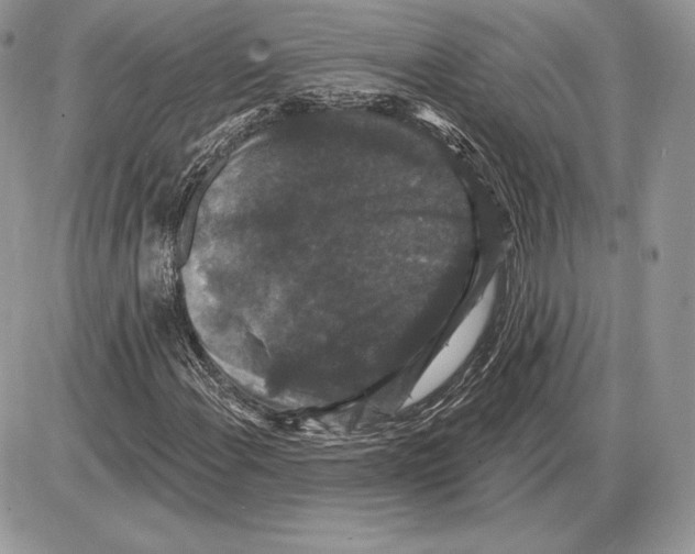 X0000085761108200704131730