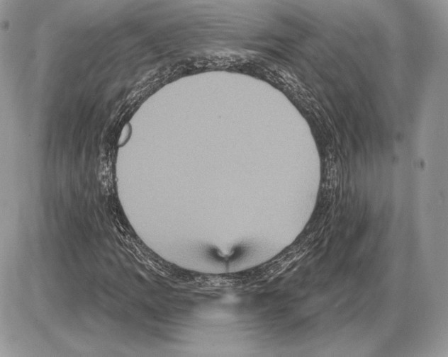 X0000085761109200704131731