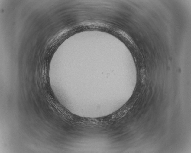 X0000085761111200704131731