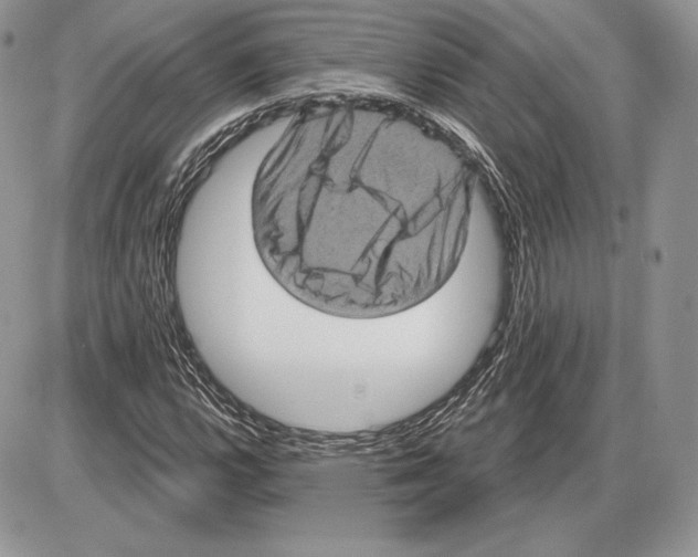 X0000085761112200704131731