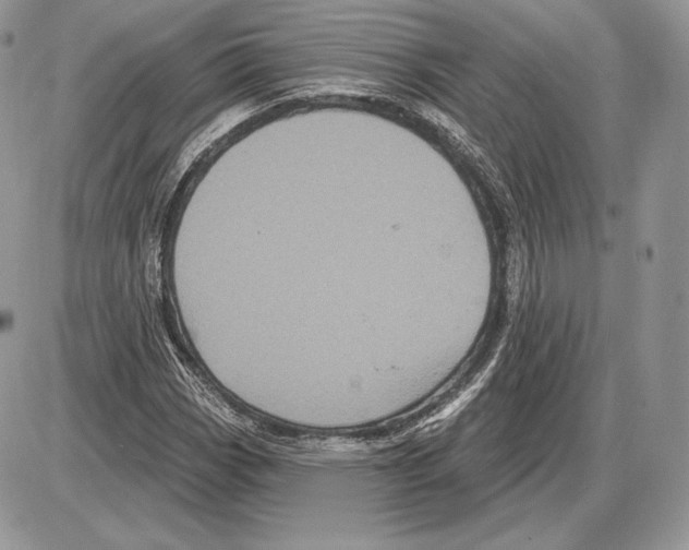 X0000085761113200704131731
