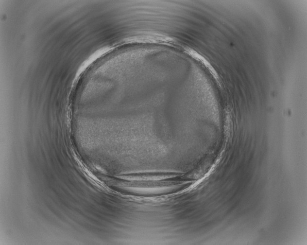X0000085761114200704131731