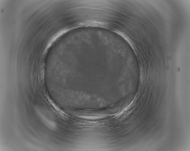 X0000085761115200704131731