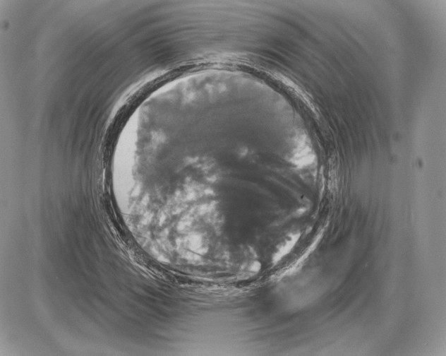 X0000085761117200704131731