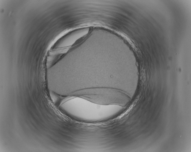 X0000085761118200704131731