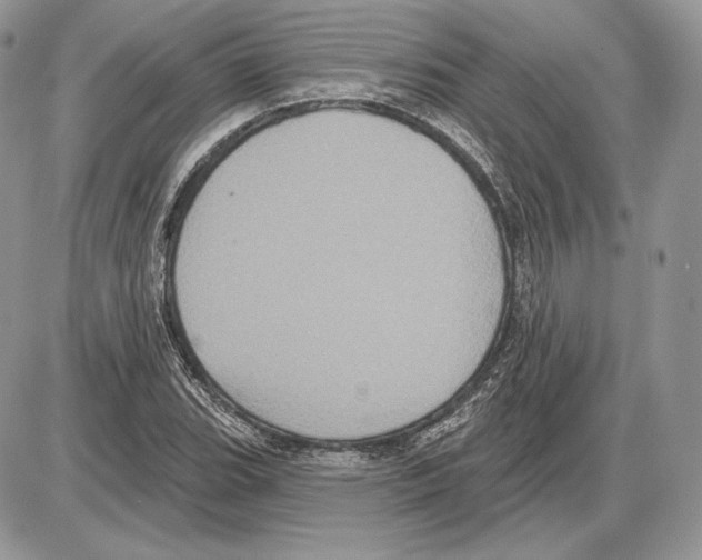 X0000085761119200704131731