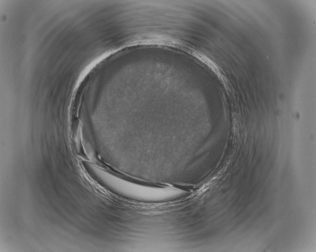 X0000085761120200704131731
