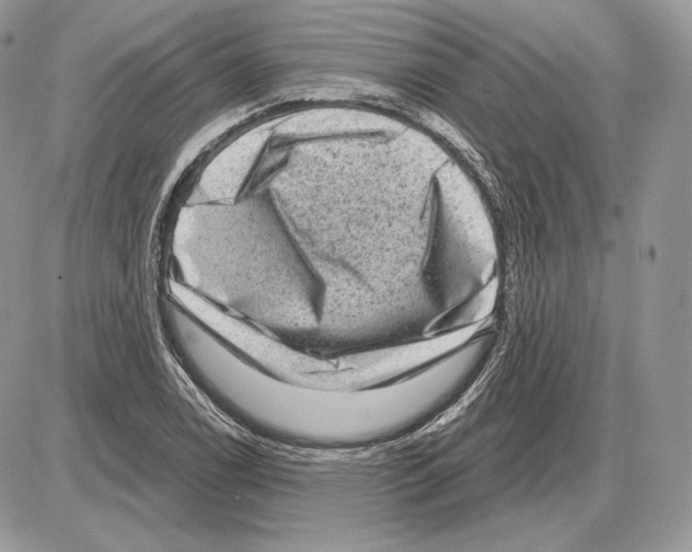 X0000085761122200704131731