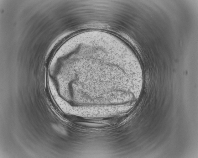 X0000085761123200704131731