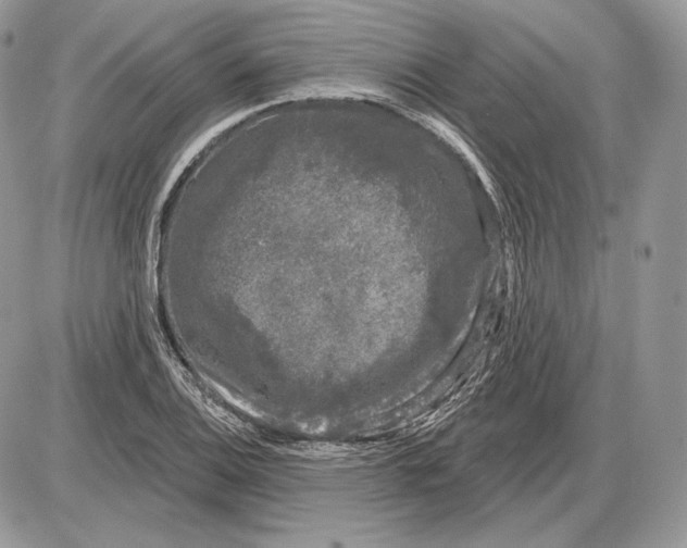 X0000085761124200704131731