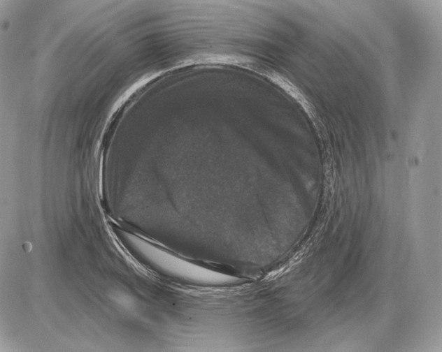 X0000085761127200704131731