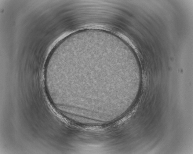 X0000085761133200704131731