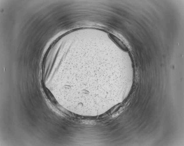 X0000085761136200704131731
