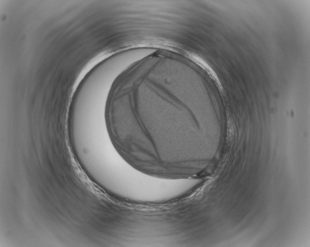 X0000085761138200704131731