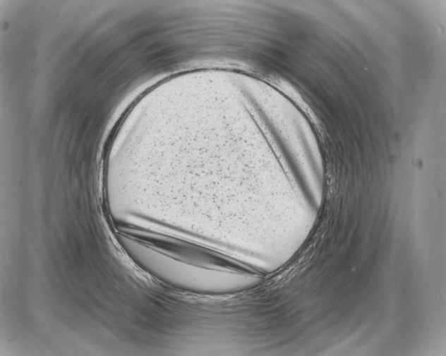 X0000085761140200704131731