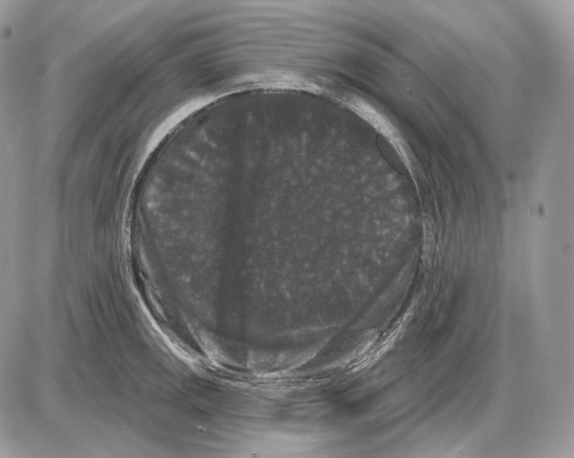 X0000085761141200704131731