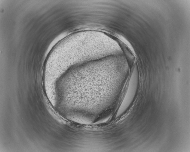 X0000085761146200704131731